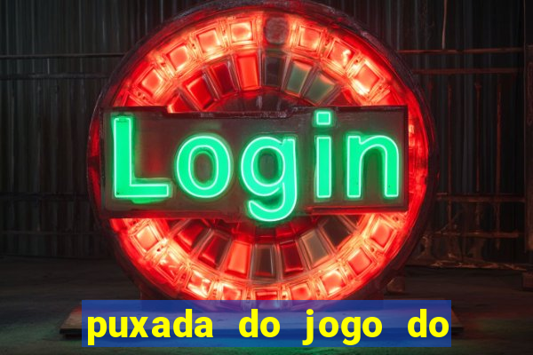 puxada do jogo do bicho da sueli